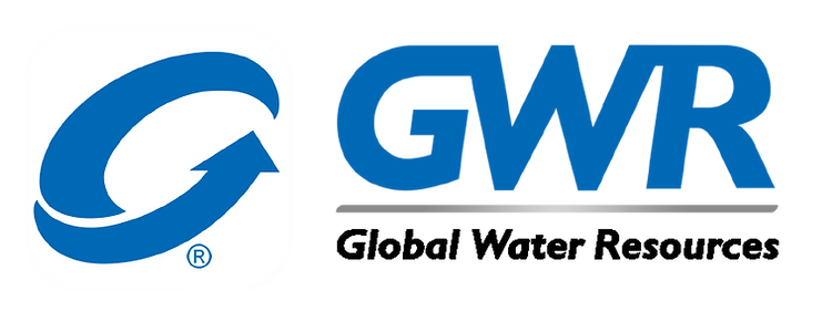 global logo